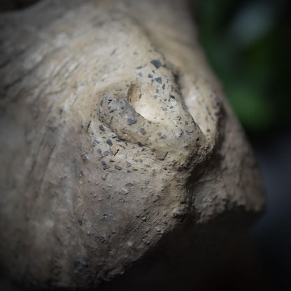 Handgefertigte Rauchbrand-Tonskulptur – Primat: Vom Affen zum Menschen | Krafttier der Leichtigkeit Art.Nr. SKU040