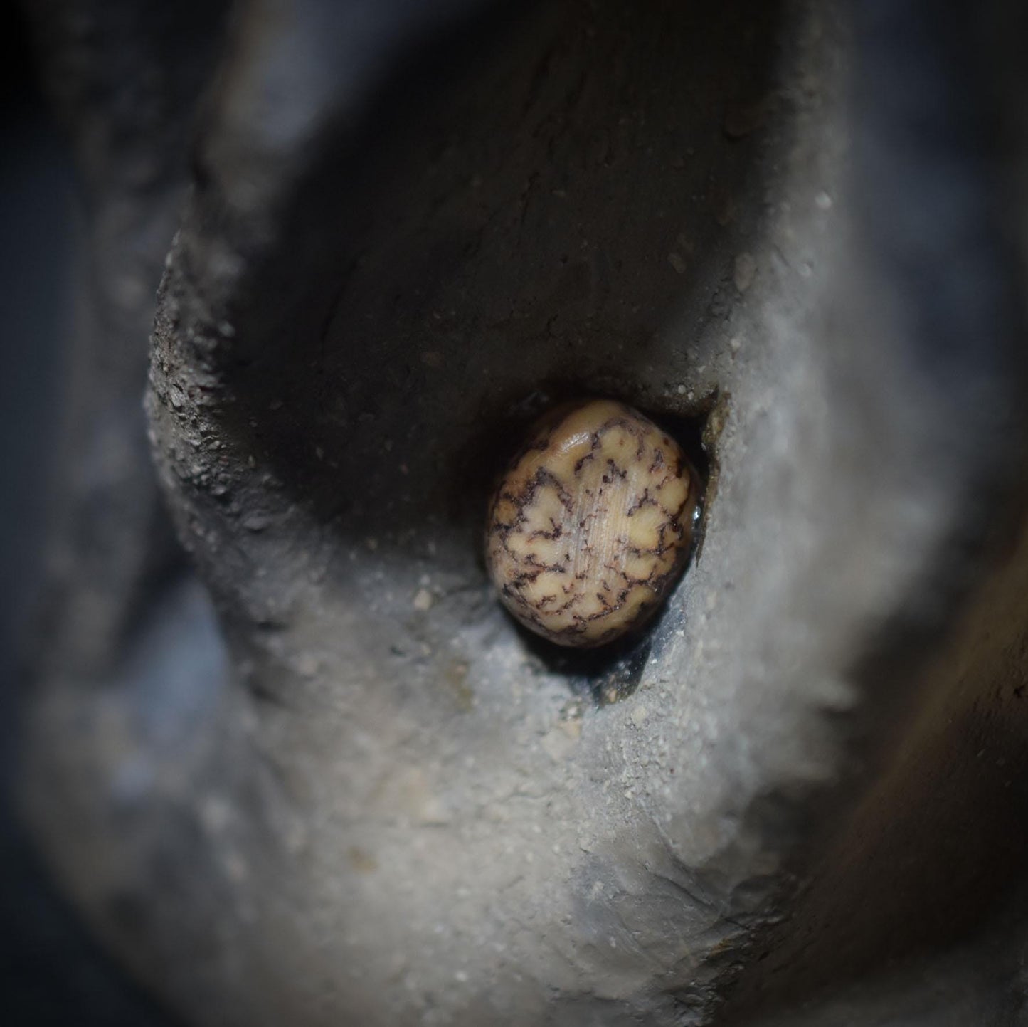 Quelle des Seins – Yoni-Göttin für selbstbestimmte Weiblichkeit - spirituelle Rauchbrandkunst - Art.Nr.: SKU084