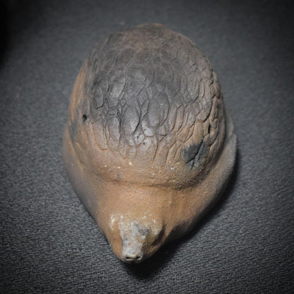 Traditionell gebrannte Handrassel - Hüterin des Rhythmus – Schamanische Ton-Rassel in Schildkrötenform