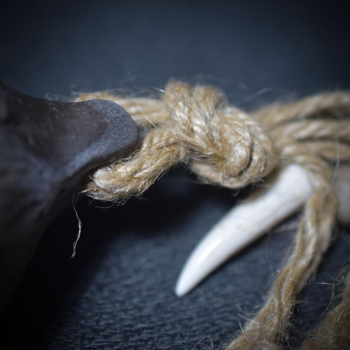 Schamanische Handrassel mit Türkis-Stoßzahn und Bärentatze – Klang, der die Seele berührt - Art.Nr.: SRA026