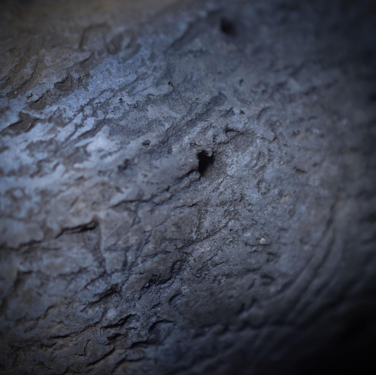 Schamanische Handrassel mit Türkis-Stoßzahn und Bärentatze – Klang, der die Seele berührt - Art.Nr.: SRA026