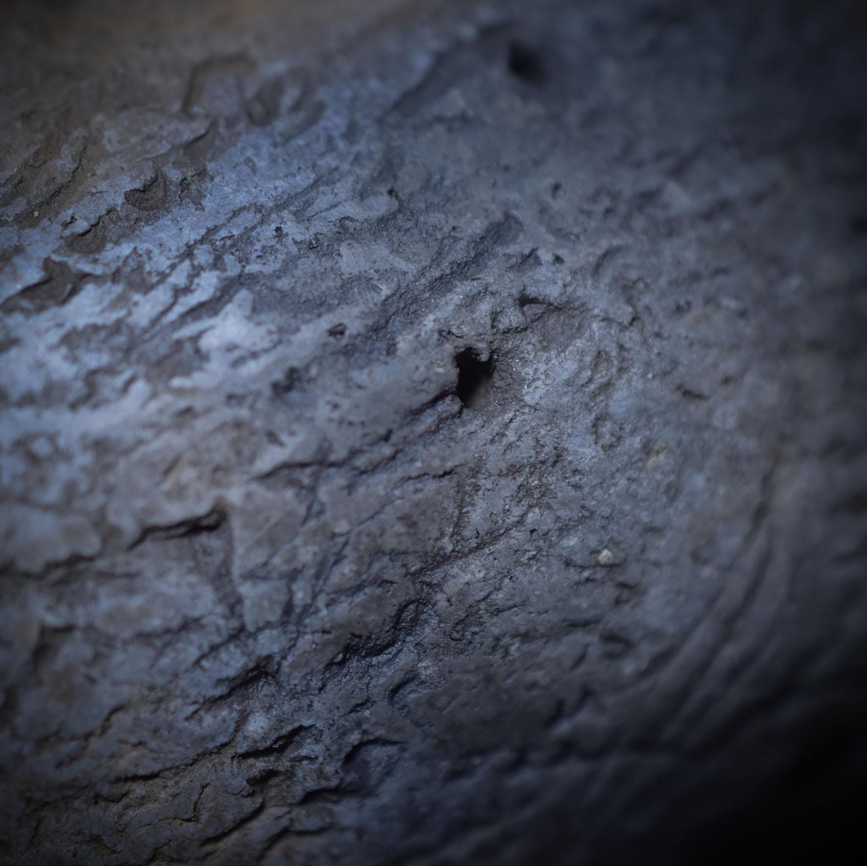 Schamanische Handrassel mit Türkis-Stoßzahn und Bärentatze – Klang, der die Seele berührt - Art.Nr.: SRA026