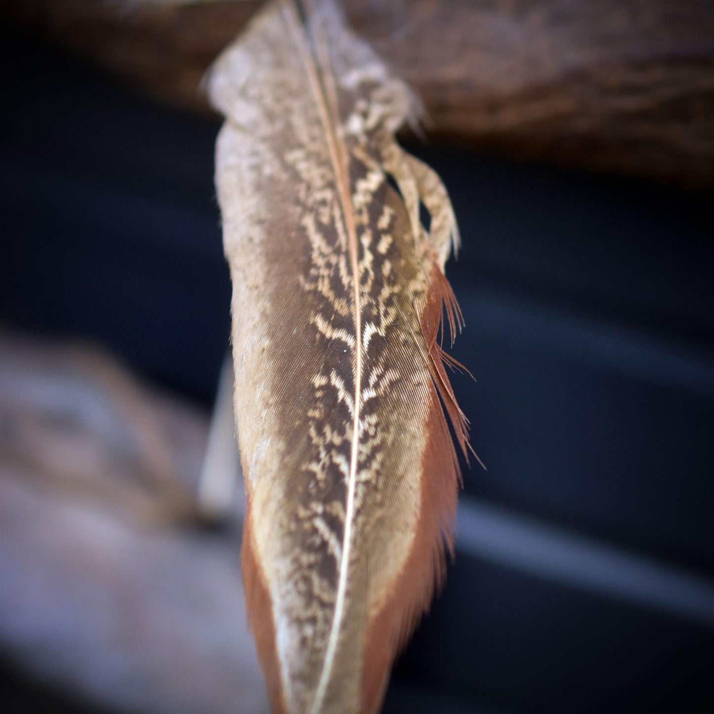 Allsehendes Auge – schamanische Wanddeko mit Rabensymbol, Wolfspfote & Rauchbrand-Ton – primitive Kunst - Art.Nr.: HEX010