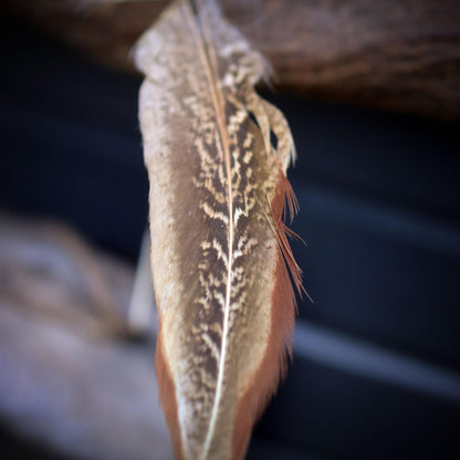 Allsehendes Auge – schamanische Wanddeko mit Rabensymbol, Wolfspfote & Rauchbrand-Ton – primitive Kunst - Art.Nr.: HEX010