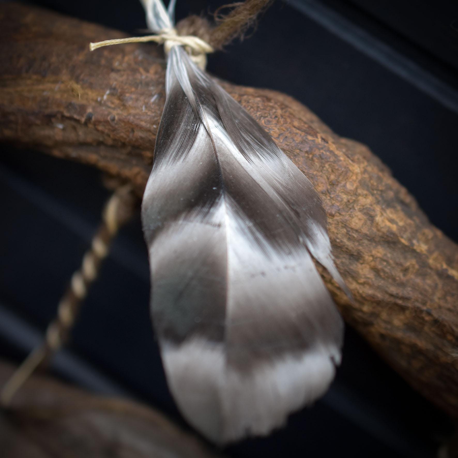 Allsehendes Auge – schamanische Wanddeko mit Rabensymbol, Wolfspfote & Rauchbrand-Ton – primitive Kunst - Art.Nr.: HEX010