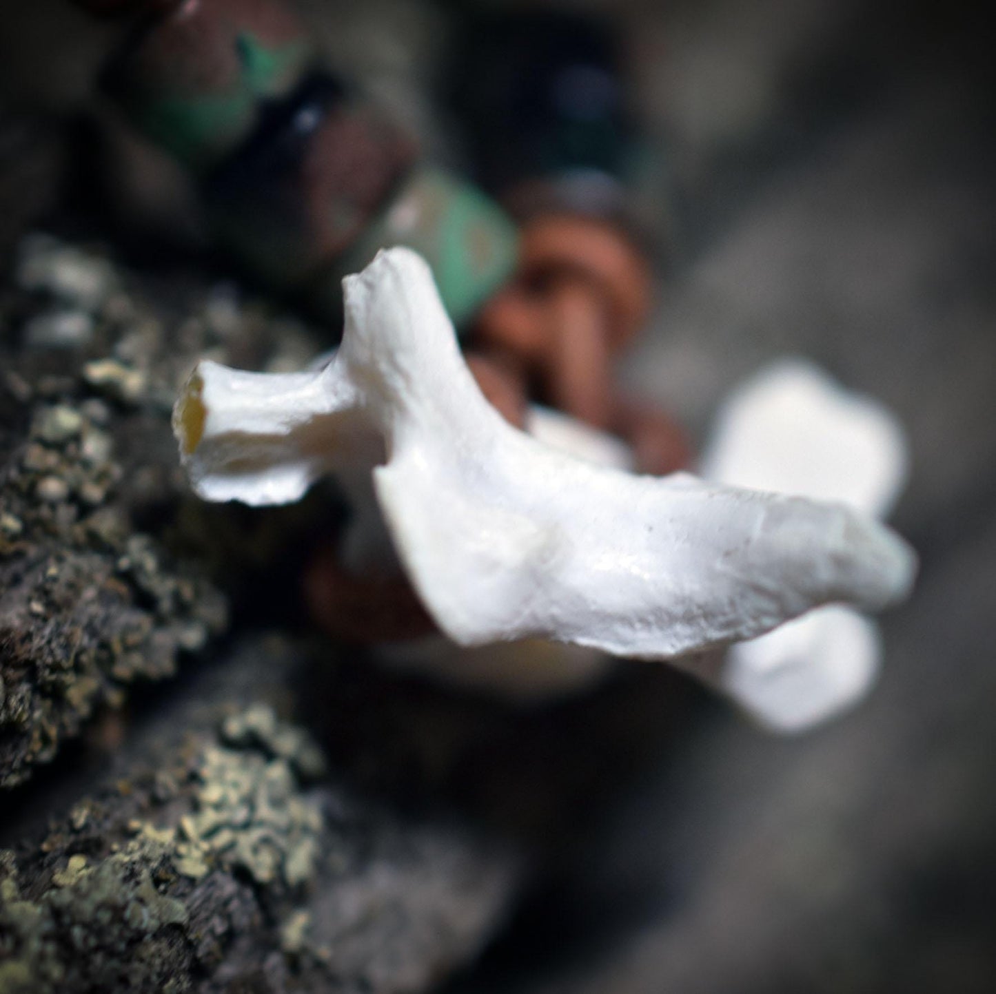 Spezialkollektion - Schamanisches Amulett mit Wirbelknochen & Keramikperlen am Lederband – Dein natürlicher Kraftanhänger - Art.Nr.: AMU026