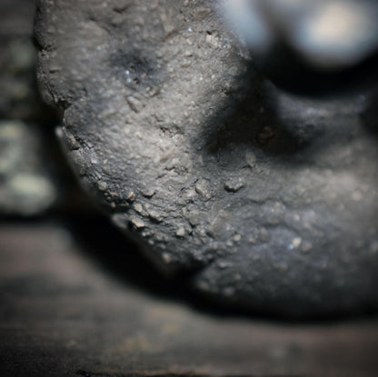 Spezialkollektion - Schamanisches Amulett mit Wirbelknochen auf Donut aus Ton – Dein natürlicher Kraftanhänger - Art.Nr.: AMU032