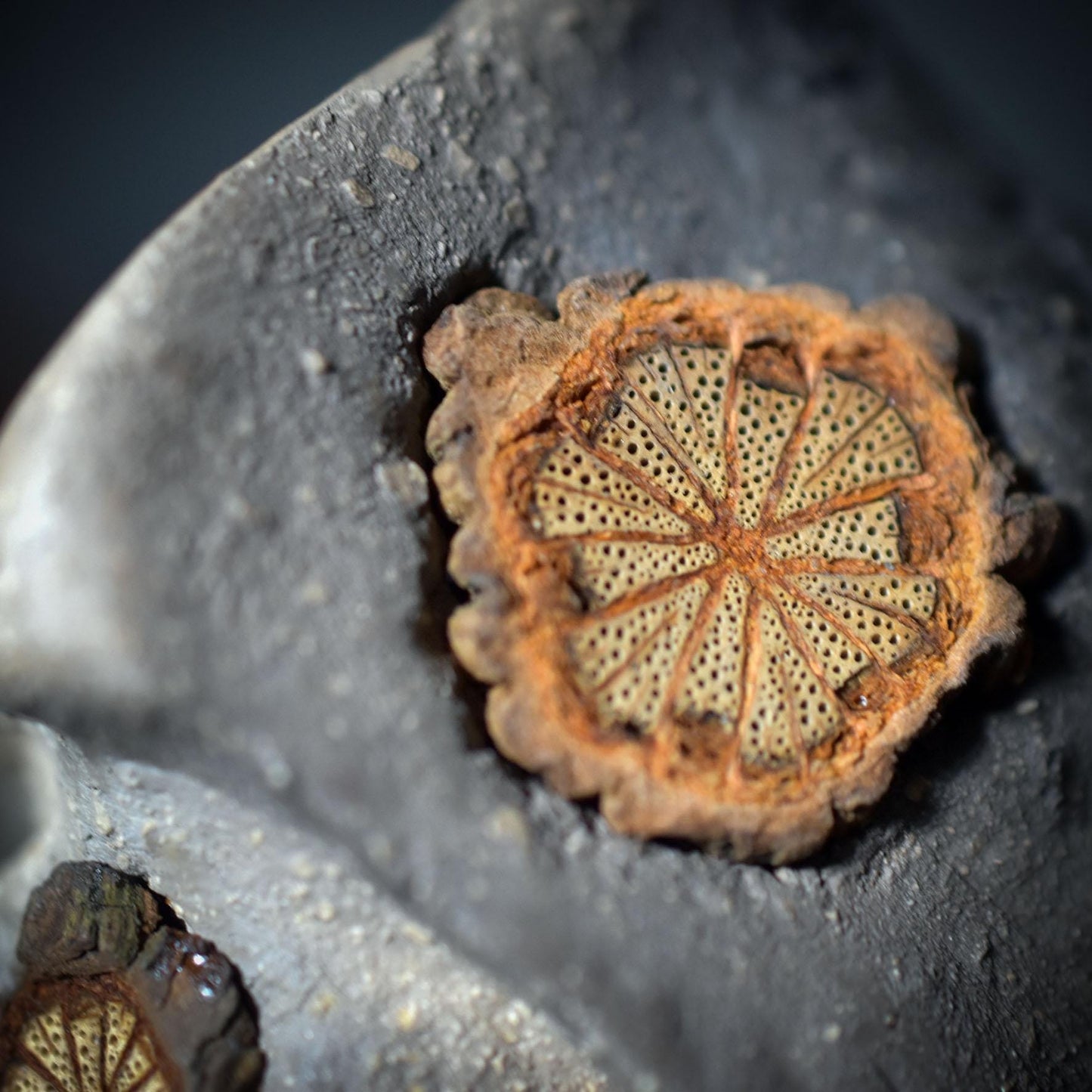 Quelle des Seins – Yoni-Göttin für selbstbestimmte Weiblichkeit - spirituelle Rauchbrandkunst - Art.Nr.: SKU084