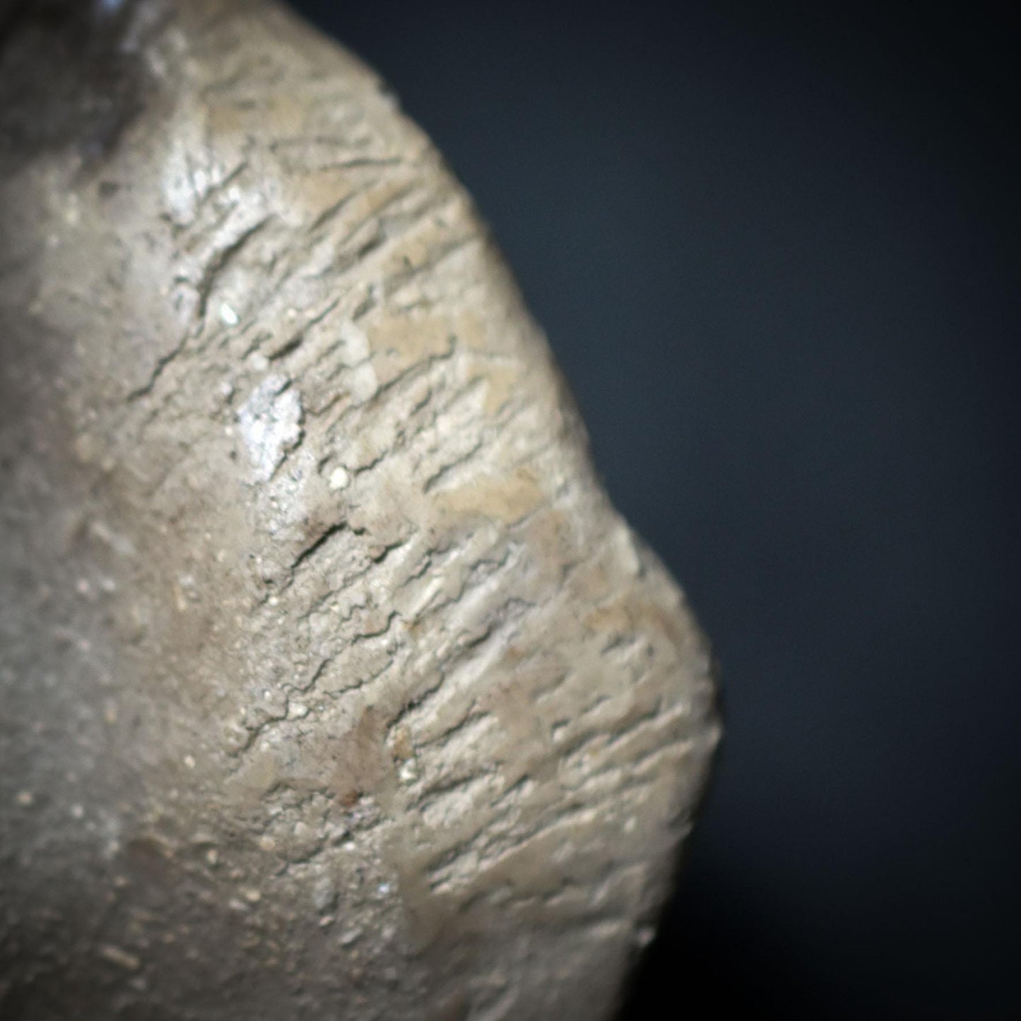 Skulptur Pilzfrau – Hüterin des Waldes - im Feuer geboren - traditionelle Rauchbrandkunst