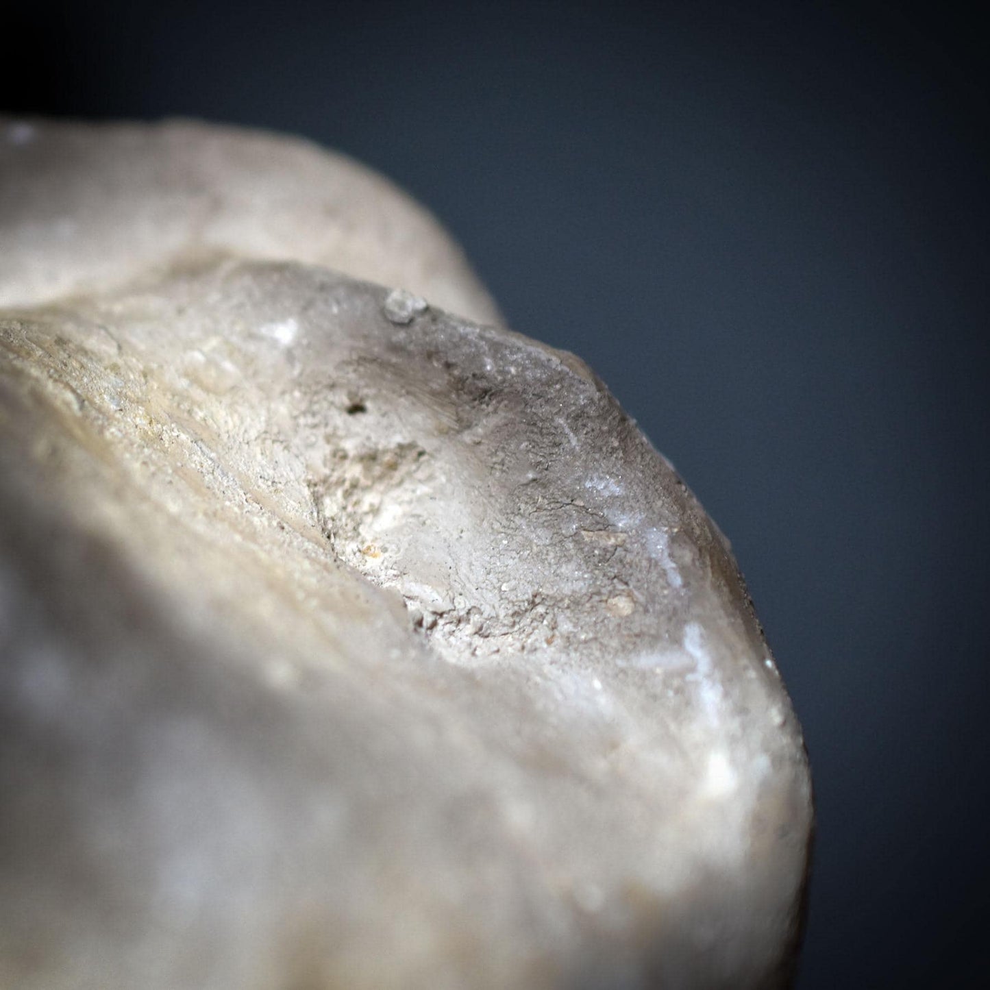 Skulptur Pilzfrau – Hüterin des Waldes - im Feuer geboren - traditionelle Rauchbrandkunst