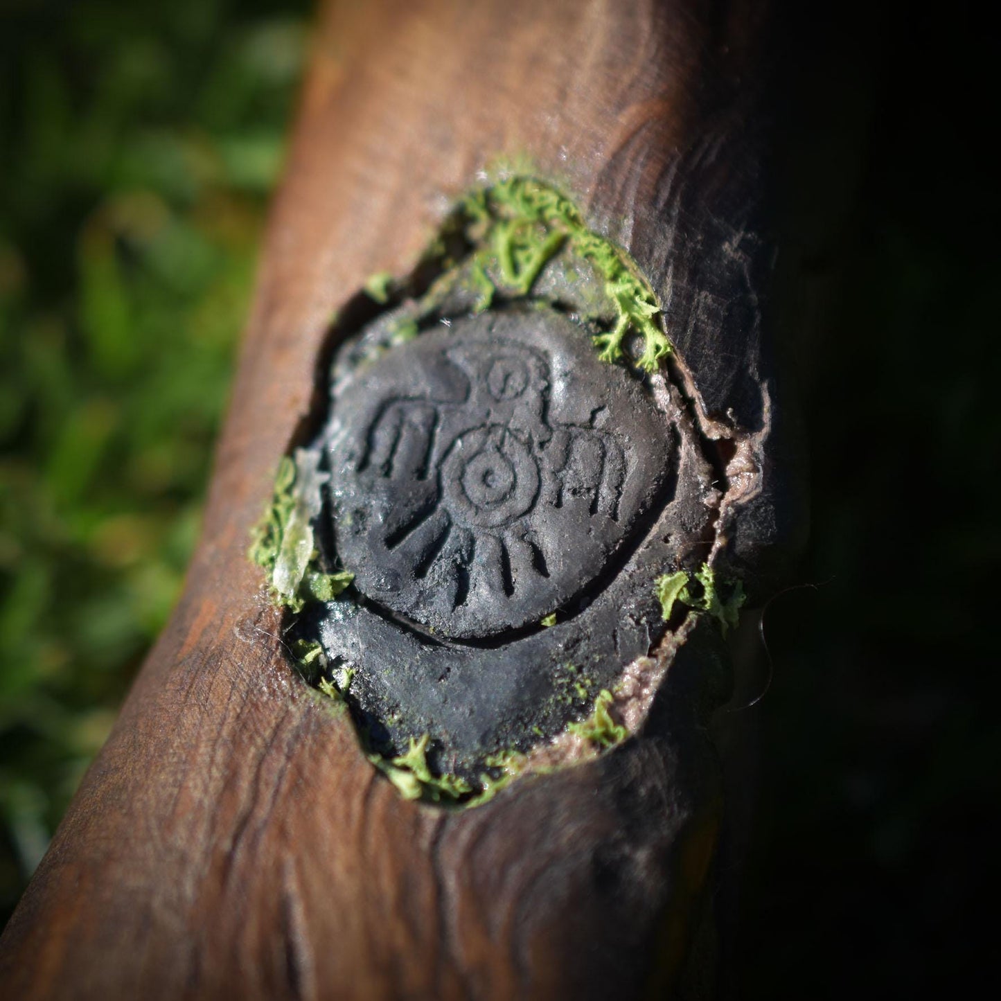 Shipibo Seed Rattle – Schamanenrassel mit Adlerrelief & Wurzelholzgriff - handgefertigtes Unikat - Art.Nr.: SRA034