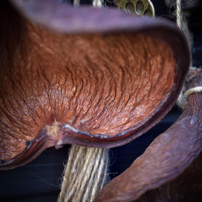 Krafttier Eule – Wandrelief aus Ton & Naturmaterialien- traditionelle Rauchbrandkunst - Art.Nr.: HEX014