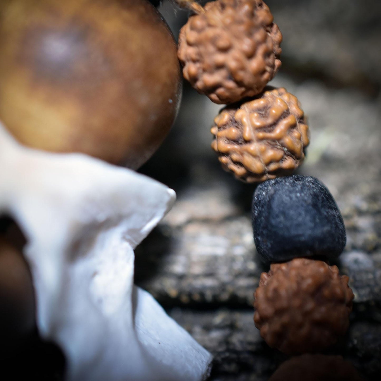 Spezialkollektion - Schamanisches Amulett mit Wirbelknochen, Bodhiperlen & Holz – Dein natürlicher Kraftanhänger