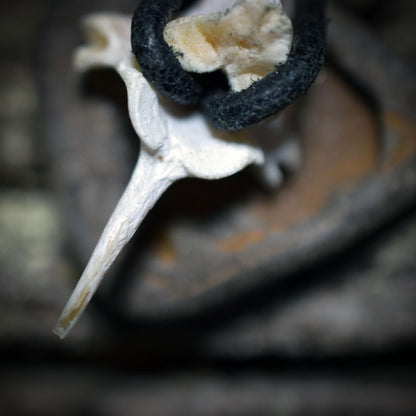 Spezialkollektion - Schamanisches Amulett mit Wirbelknochen/Limonit/Tonperle am Lederband – Dein natürlicher Kraftanhänger - Art.Nr.: AMU023