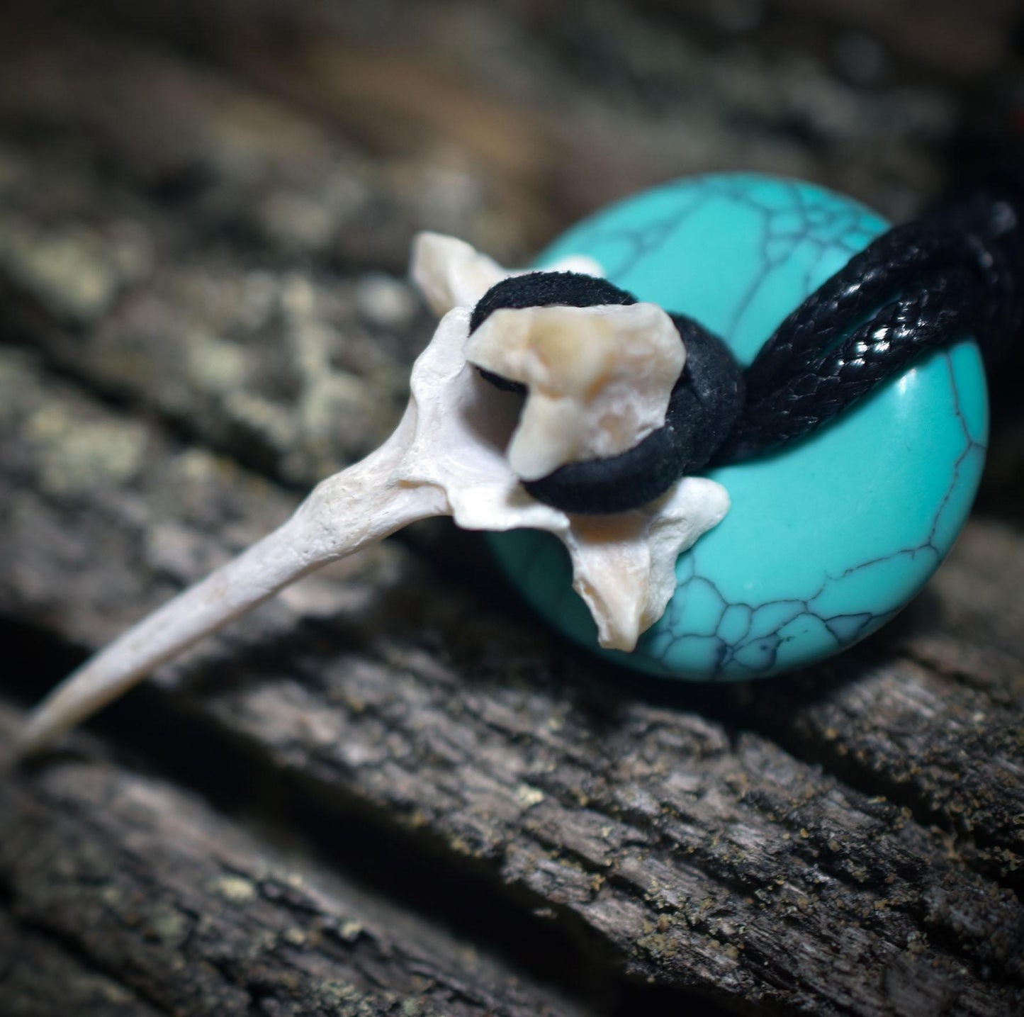 Spezialkollektion - Schamanisches Amulett mit Wirbelknochen/Türkis/Perlen, Baumwollband– Dein natürlicher Kraftanhänger - Art.Nr.: AMU028