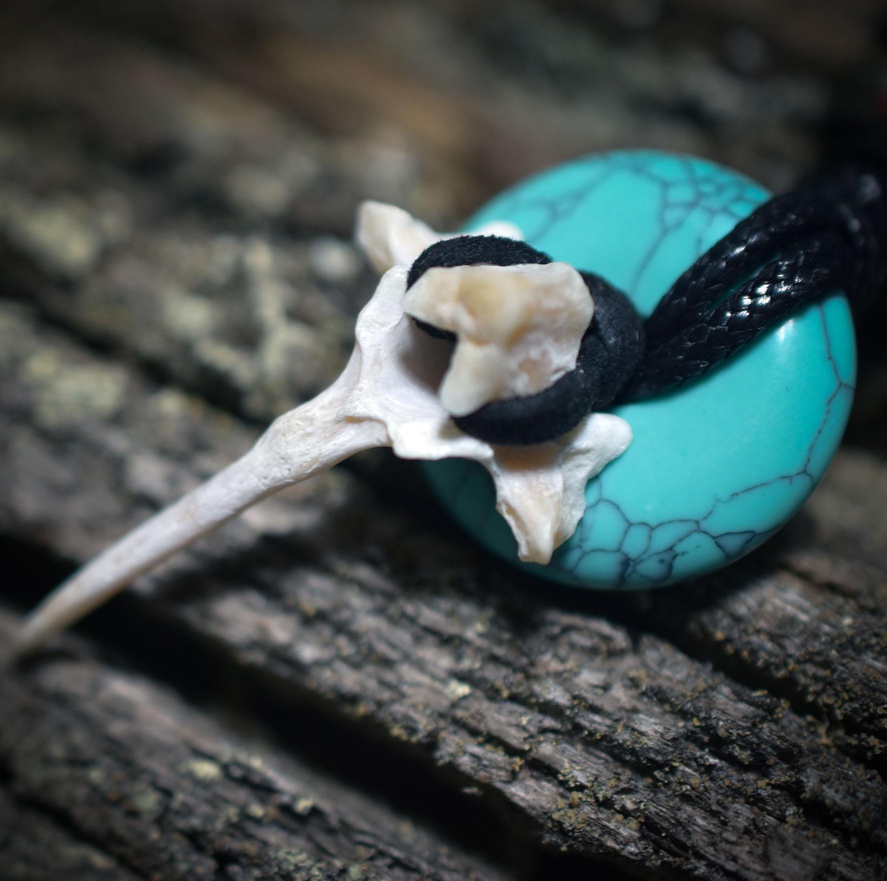 Spezialkollektion - Schamanisches Amulett mit Wirbelknochen/Türkis/Perlen, Baumwollband– Dein natürlicher Kraftanhänger - Art.Nr.: AMU028