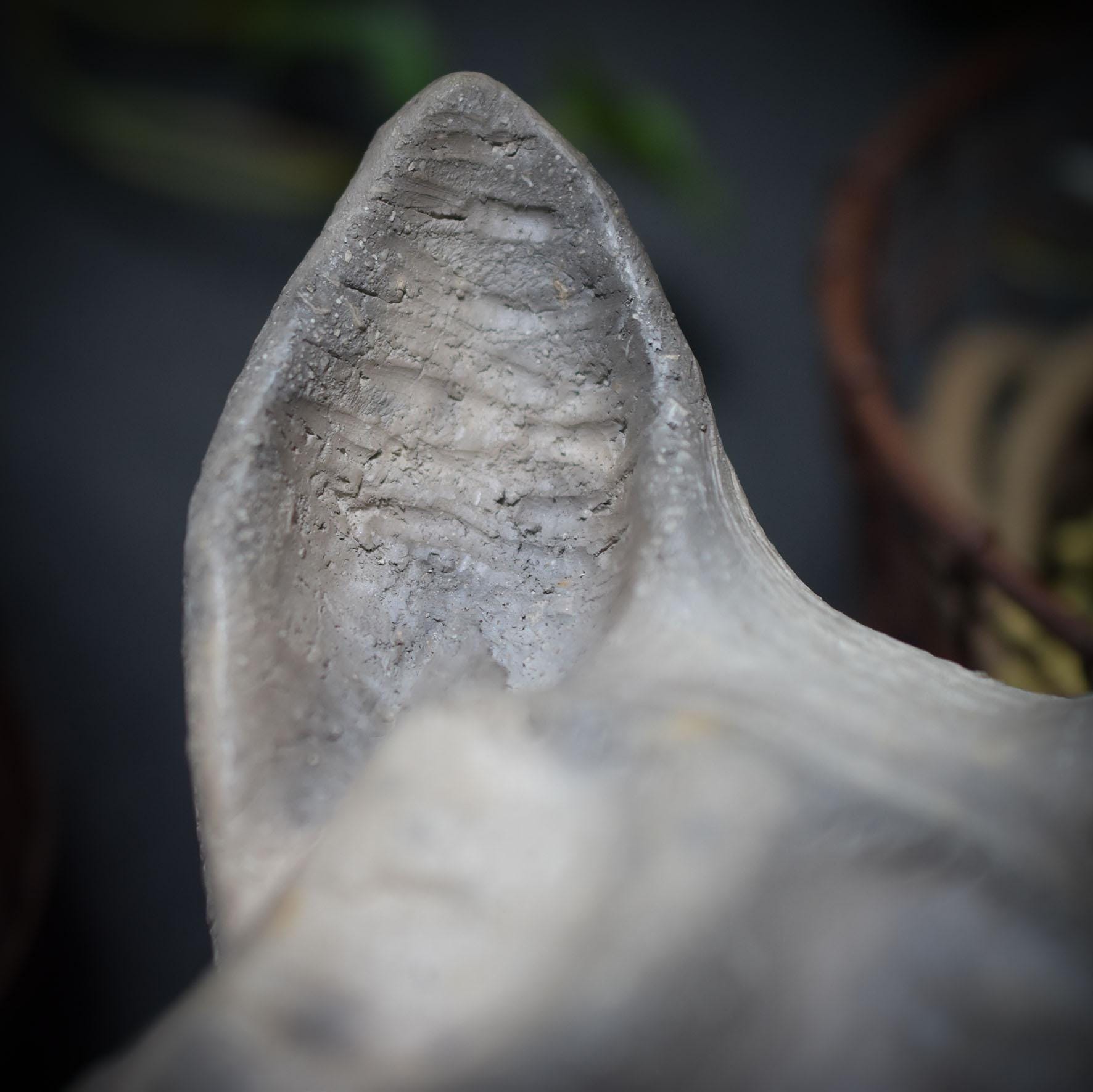 Vampir-Büste aus Ton mit Muschelzähnen – erdverbunden, archaisch, im Rauch geboren - primitive Kunst - Art.Nr.: SKU096