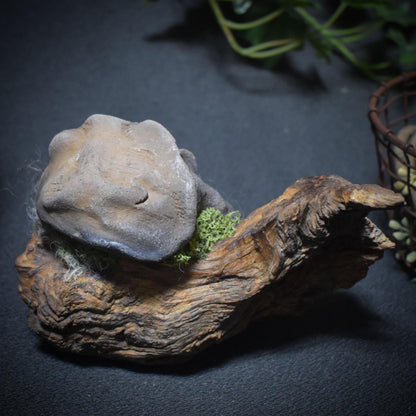 Waldgeist in Pilzform – aus traditionell gebranntem Ton auf Wurzelholz - gebrannt im Rauchfeuer - Art.Nr.: SKU100