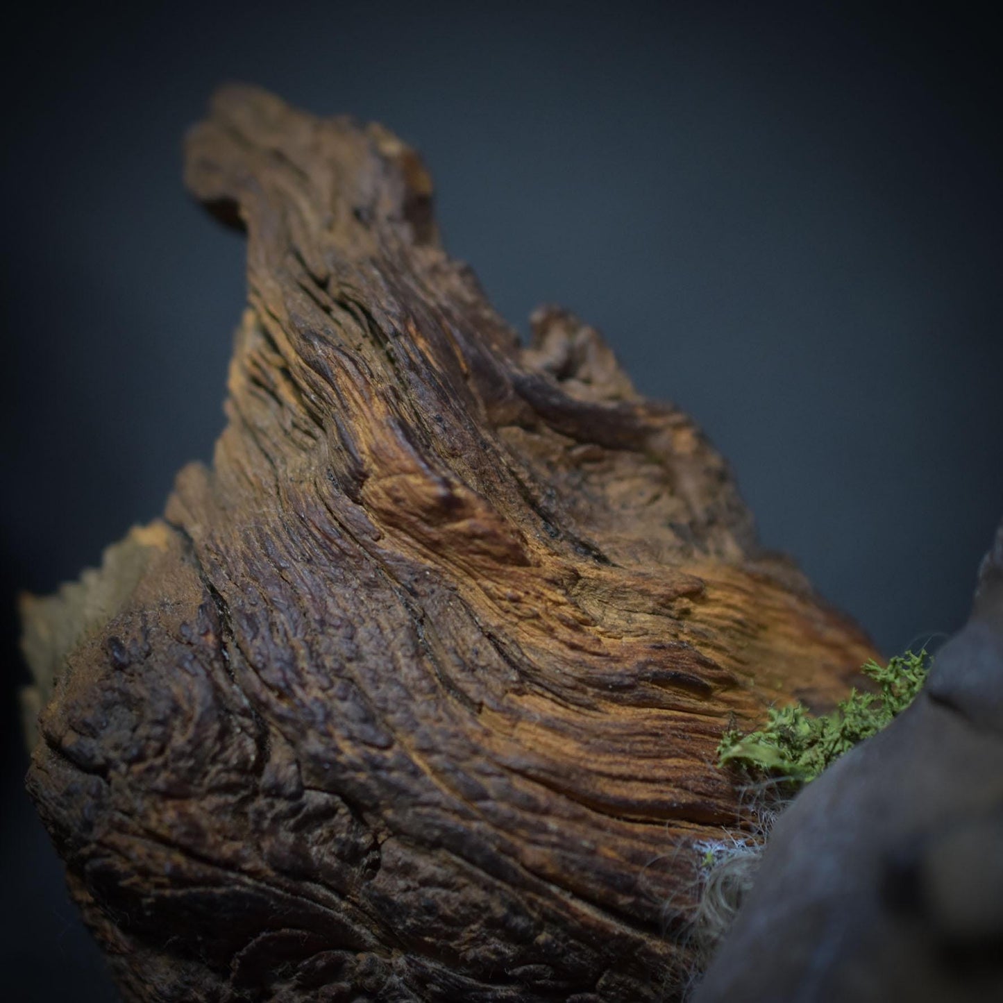 Waldgeist in Pilzform – aus traditionell gebranntem Ton auf Wurzelholz - gebrannt im Rauchfeuer