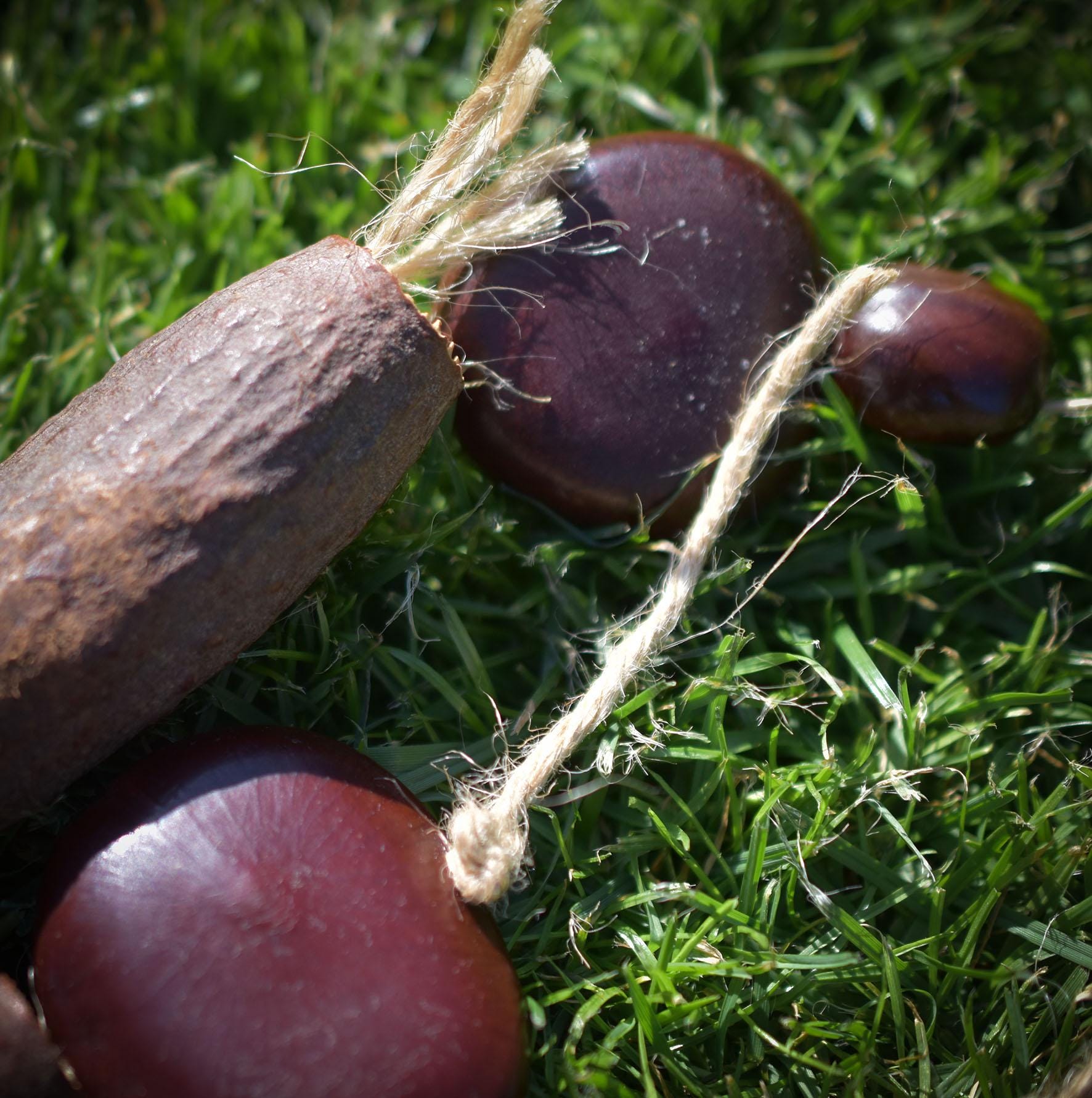 Shipibo Seed Rattle – Schamanenrassel mit Adlerrelief & Wurzelholzgriff - handgefertigtes Unikat - Art.Nr.: SRA034