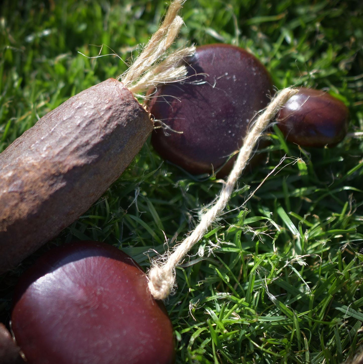 Shipibo Seed Rattle – Schamanenrassel mit Adlerrelief & Wurzelholzgriff - handgefertigtes Unikat