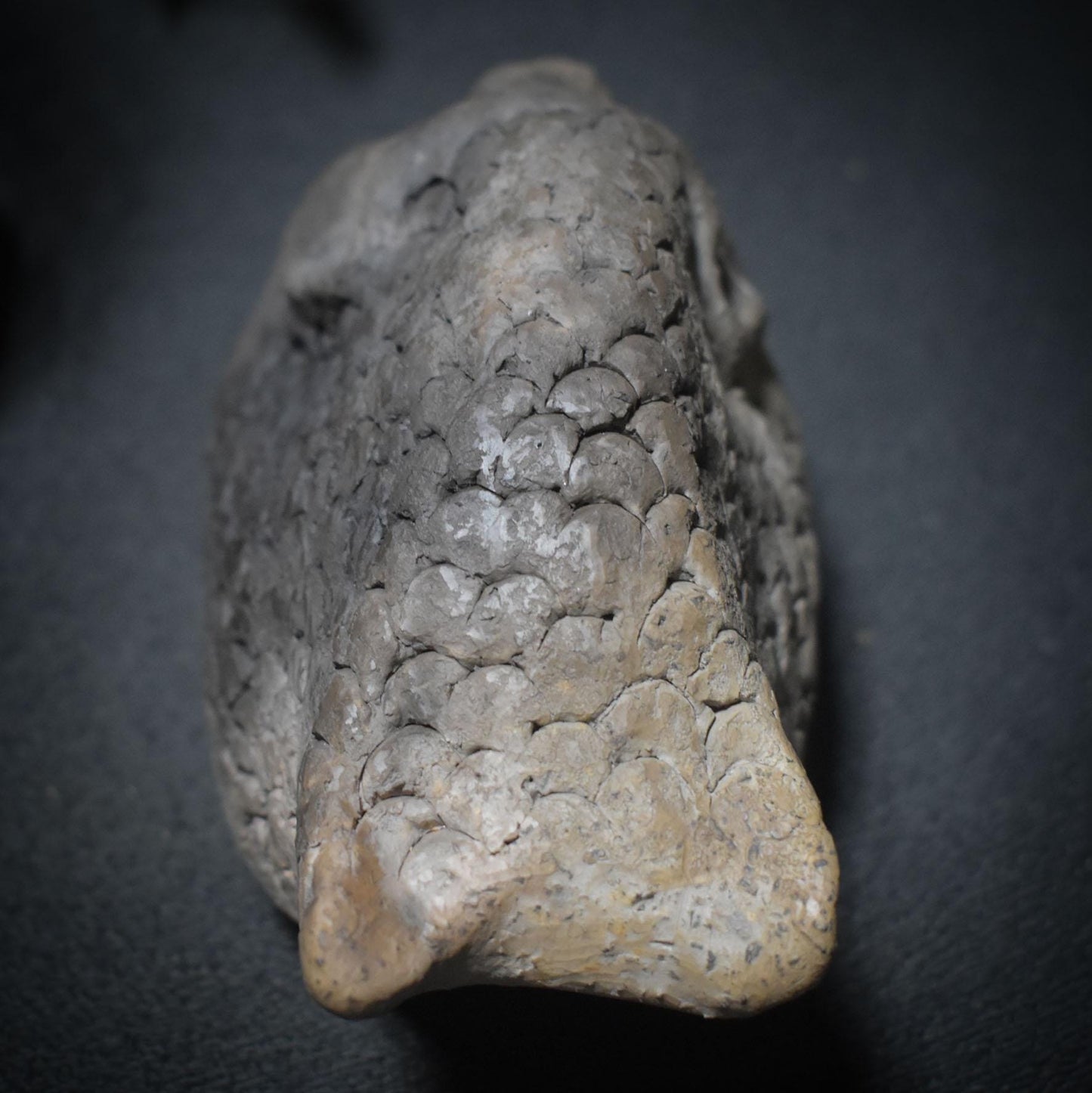 Fischwesen der Schwelle – Skulptur in traditioneller Rauchbrandkunst - Mystisches Wesen zwischen den Welten