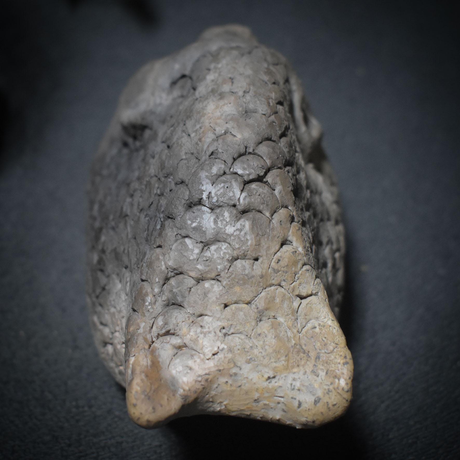 Fischwesen der Schwelle – Skulptur in traditioneller Rauchbrandkunst - Mystisches Wesen zwischen den Welten