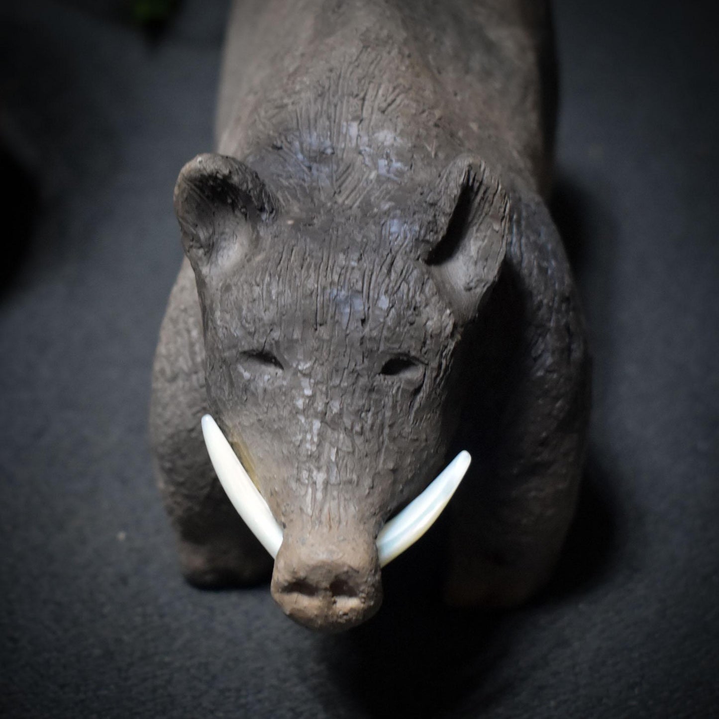 Krafttier Wildschwein – Archaische Skulptur mit Hauern aus Muschelschale - Schutz, Mut und unbändige Lebenskraft - Art.Nr.: SKU119