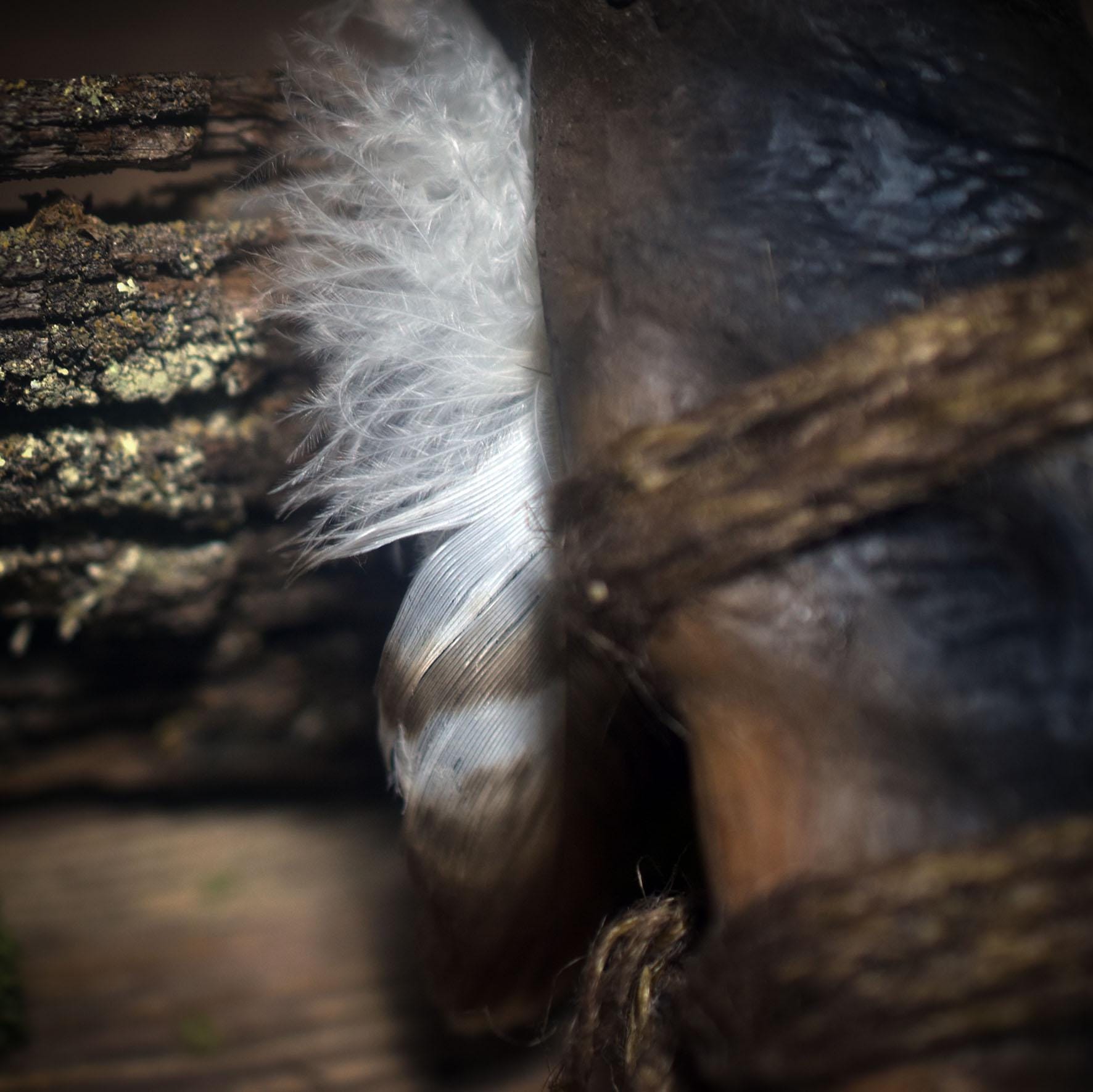 Ritualstab des Falken – Schamanisches Werkzeug in Rauchbrandkunst - Klarer Blick, Führung & luftige Kraft
