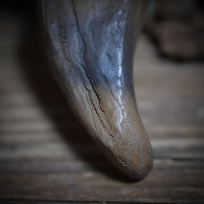 Wolfszahn-Amulett – Neolithisch inspiriertes Schmuckstück in Rauchbrandkunst mit Leder- oder Baumwollband- Art.Nr.: AMU042