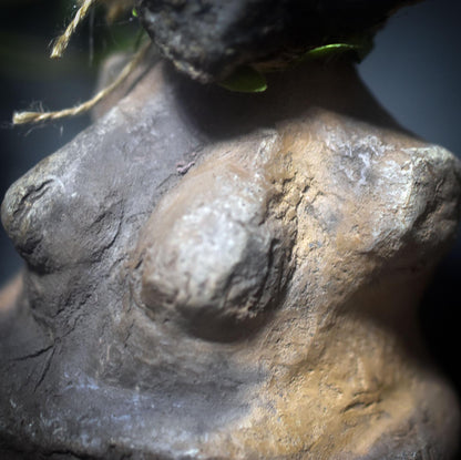 Göttin des Waldes – Skulptur mit echtem Baumpilz, primitive Kunst in Rauchbrandtechnik - Art.Nr.: SKU125