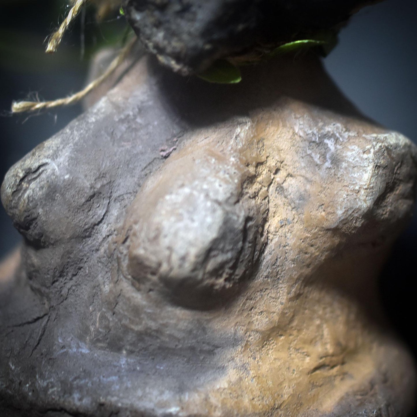 Göttin des Waldes – Skulptur mit echtem Baumpilz, primitive Kunst in Rauchbrandtechnik