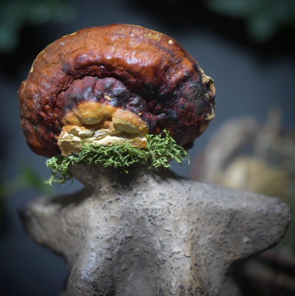 Waldpriesterin – Archaische Skulptur in Rauchbrandkunst - Hüterin des Waldes mit echter Pilzkrone - Art.Nr.: SKU113