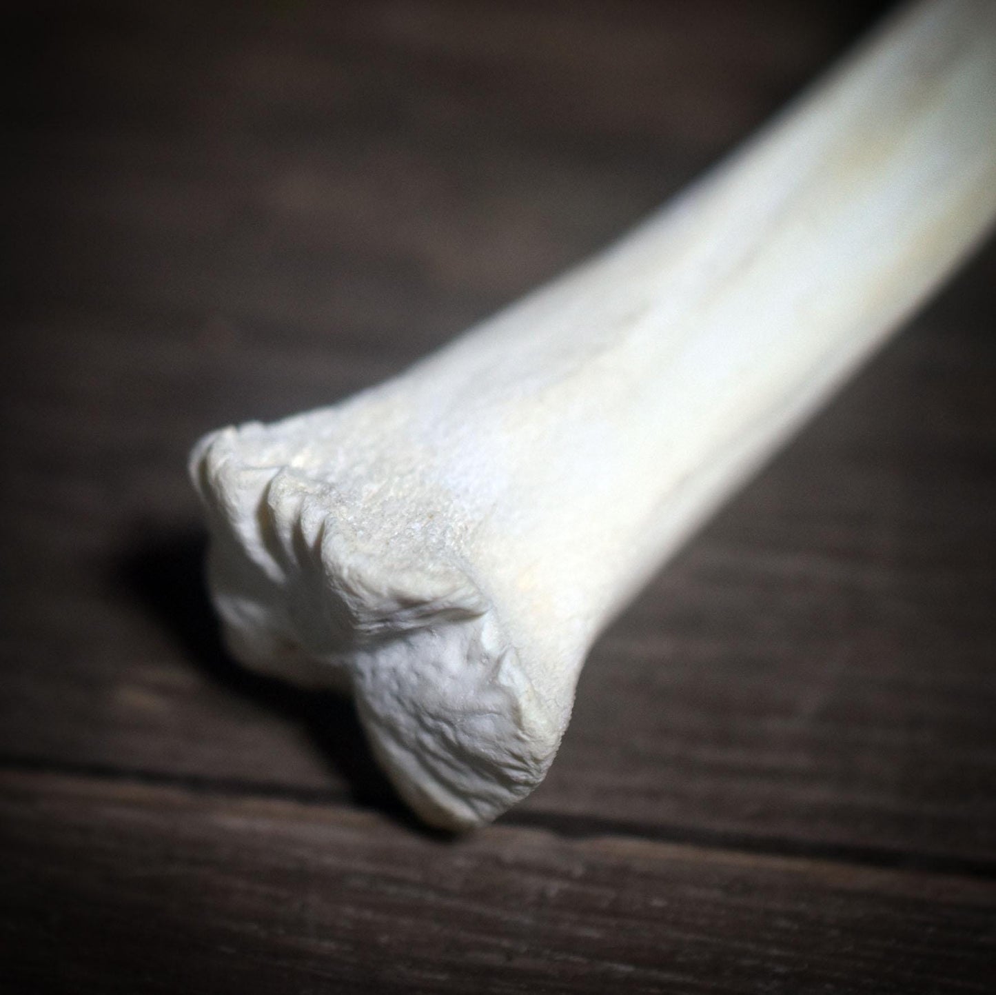 Ritualstab der Klarheit – Dein Wegbegleiter zwischen den Welten - Art.Nr.: RST014