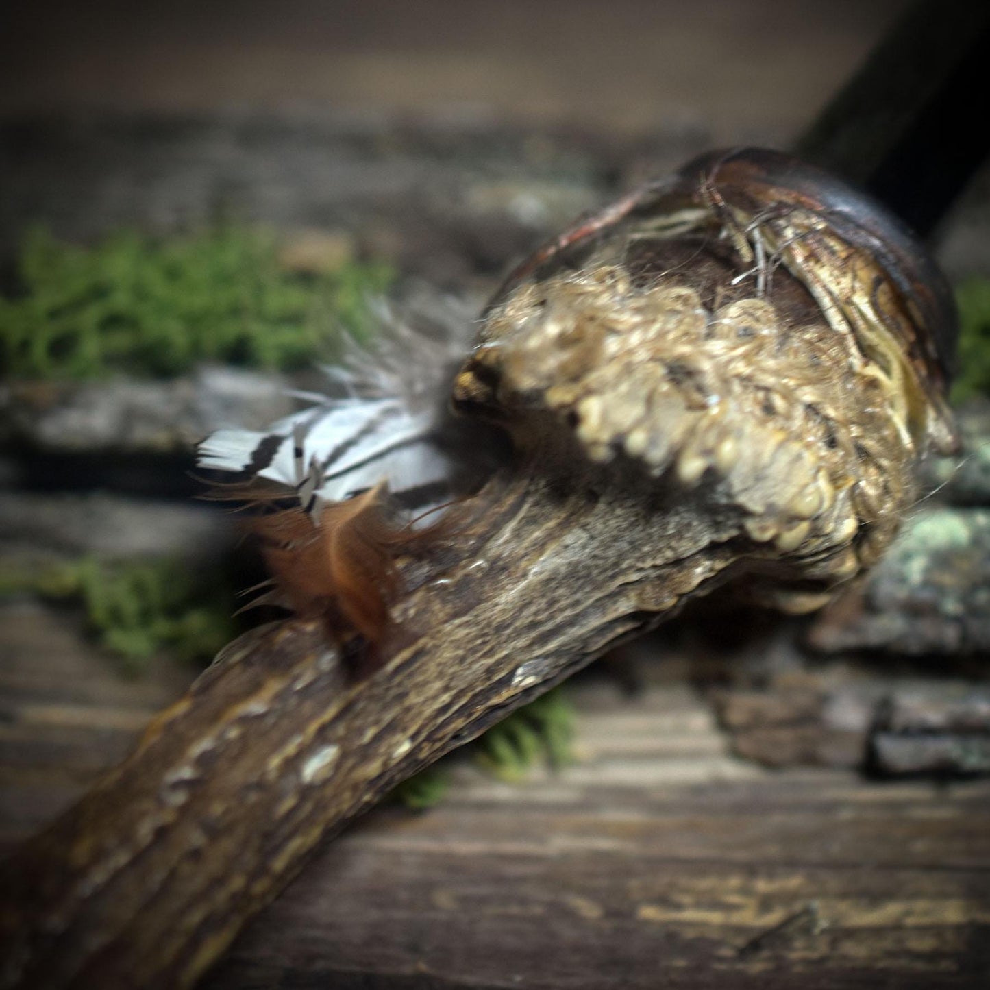 Ritualstab des Schutzes – Dein Begleiter aus Geweih und goldenem Obsidian