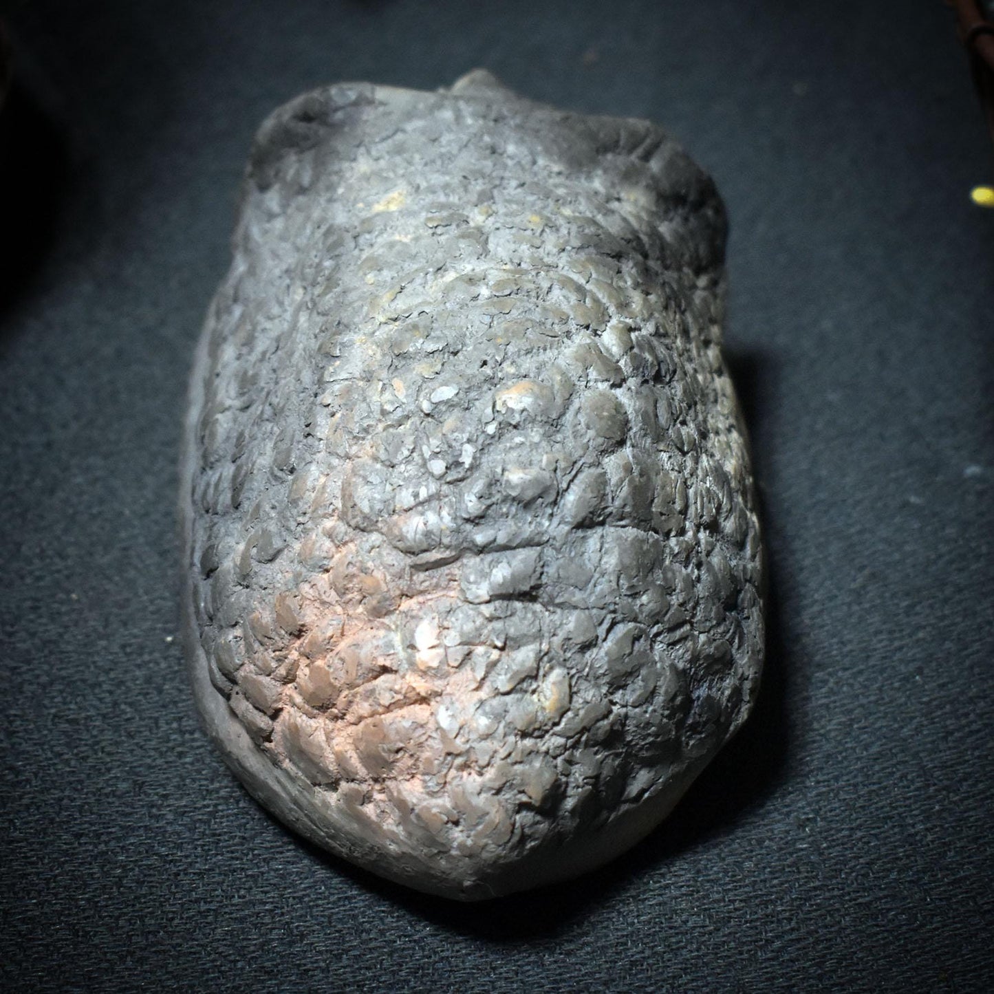 Hüterin der Zeit – Schildkröten-Skulptur mit menschlichem Antlitz - Traditionelle Rauchbrandkunst mit symbolischer Tiefe