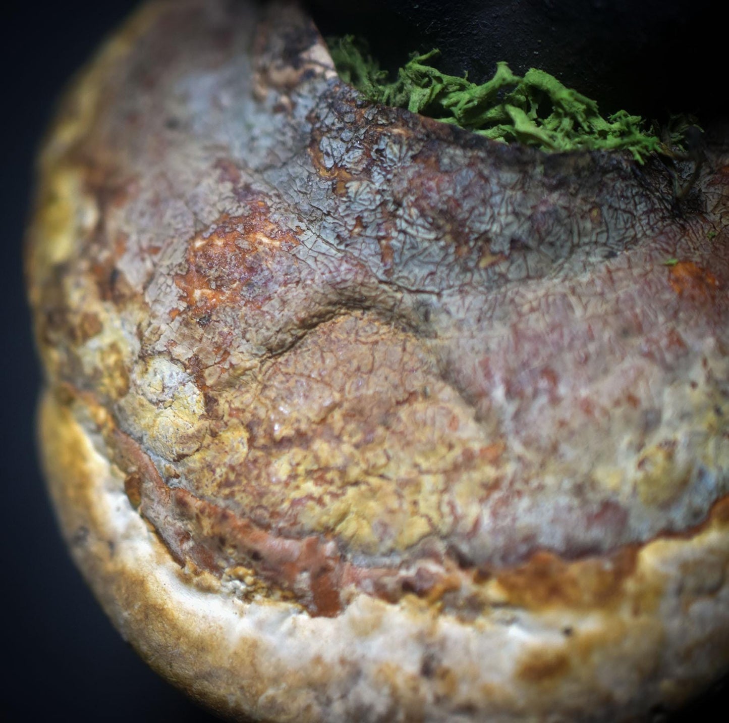 Göttin der Anfänge – Skulptur mit verwachsenem Baumpilz - traditionell gebrannter Ton - spirituelle Skulptur - Art.Nr.: SKU135