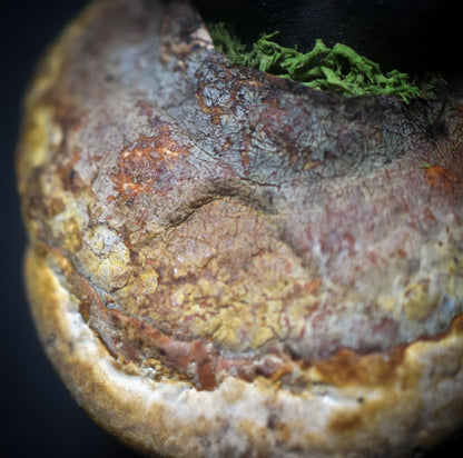 Göttin der Anfänge – Skulptur mit verwachsenem Baumpilz - traditionell gebrannter Ton - spirituelle Skulptur