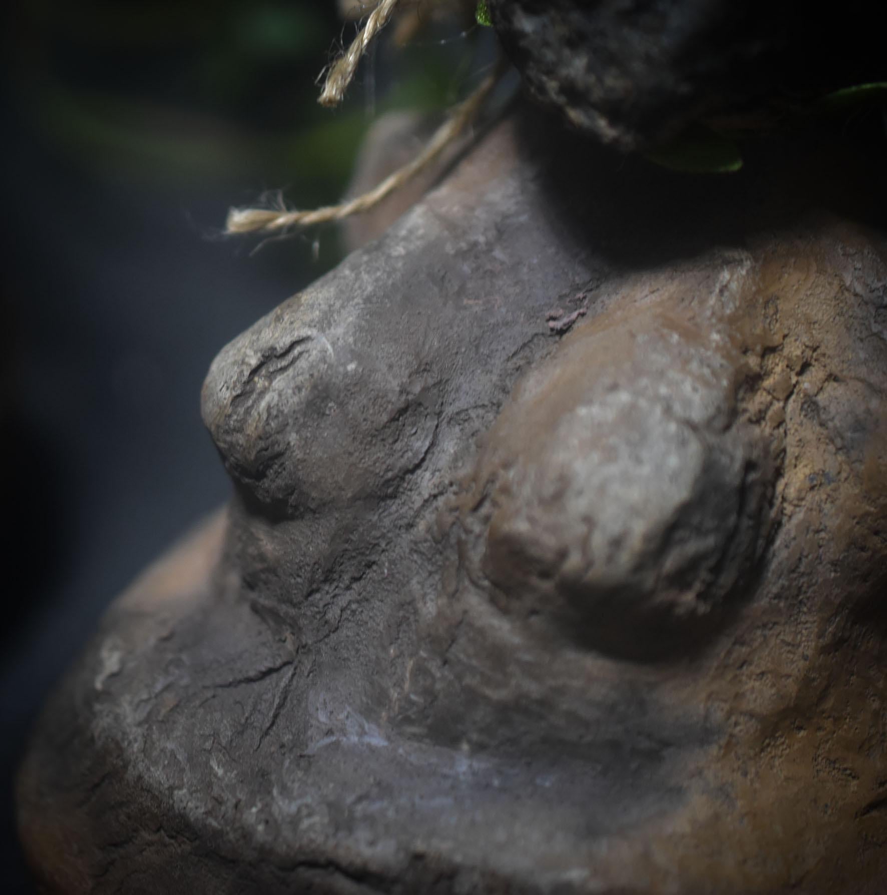 Göttin des Waldes – Skulptur mit echtem Baumpilz, primitive Kunst in Rauchbrandtechnik - Art.Nr.: SKU125