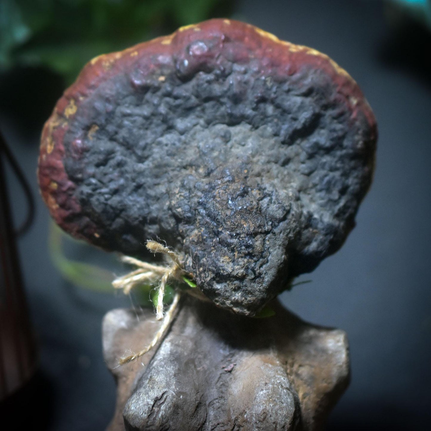 Göttin des Waldes – Skulptur mit echtem Baumpilz, primitive Kunst in Rauchbrandtechnik