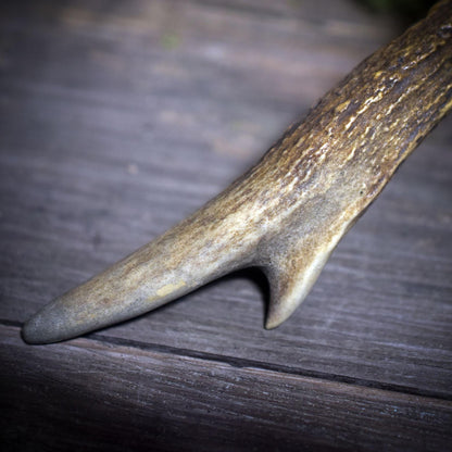 Ritualstab des Schutzes – Dein Begleiter aus Geweih und goldenem Obsidian