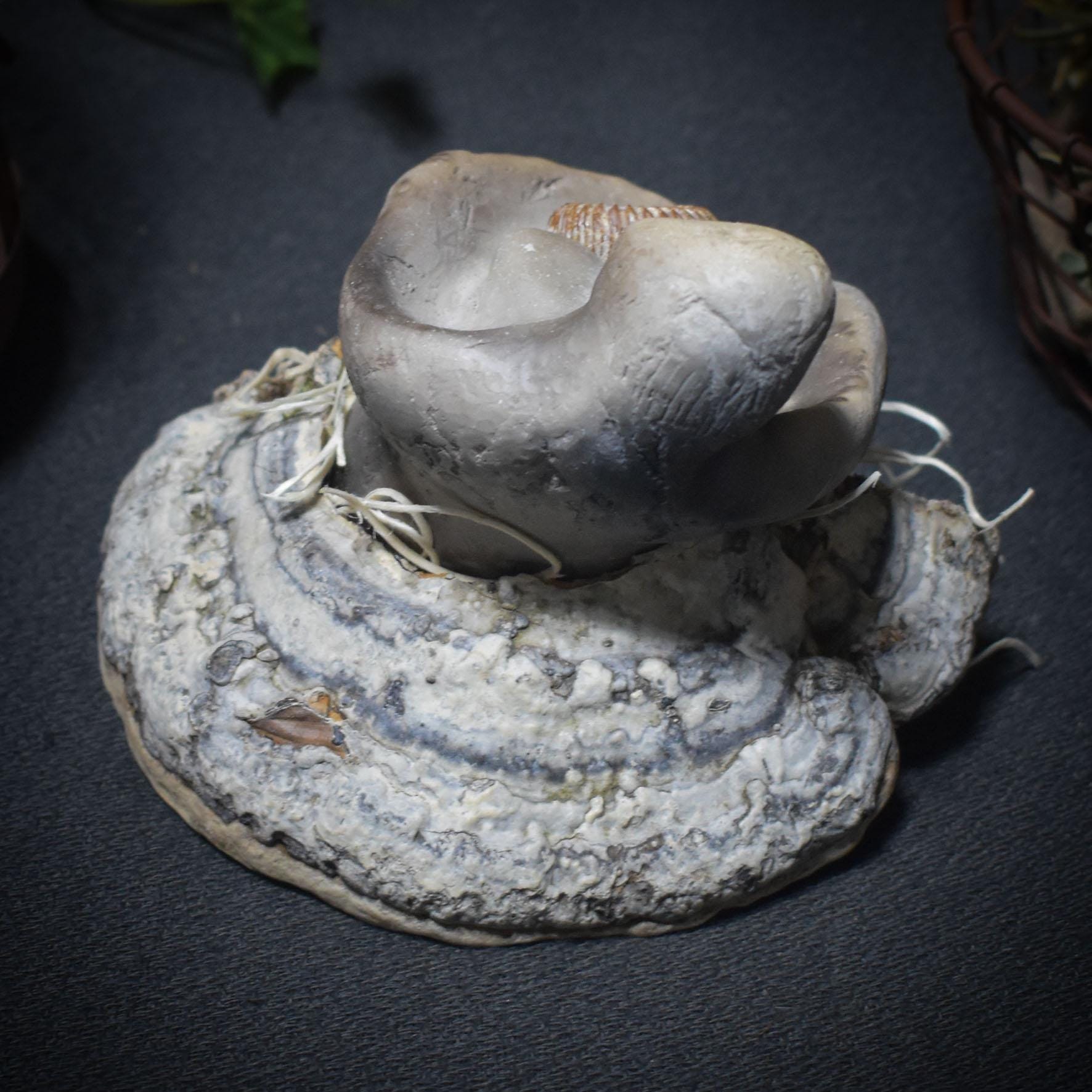 Pilzwesen der Erde – Archaische Wächterin mit Ammonit - traditionell gebrannter Ton - naturverbundene Kunst