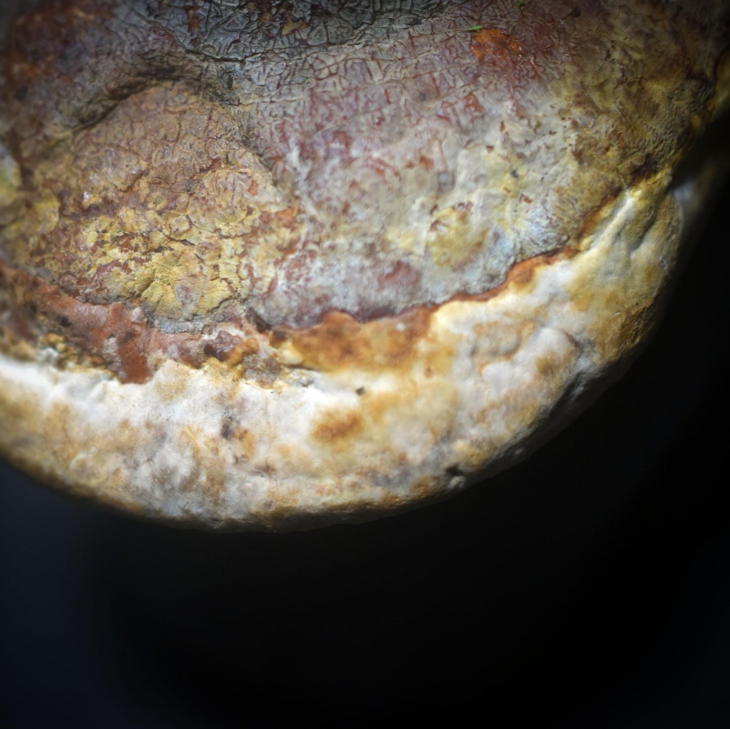 Göttin der Anfänge – Skulptur mit verwachsenem Baumpilz - traditionell gebrannter Ton - spirituelle Skulptur