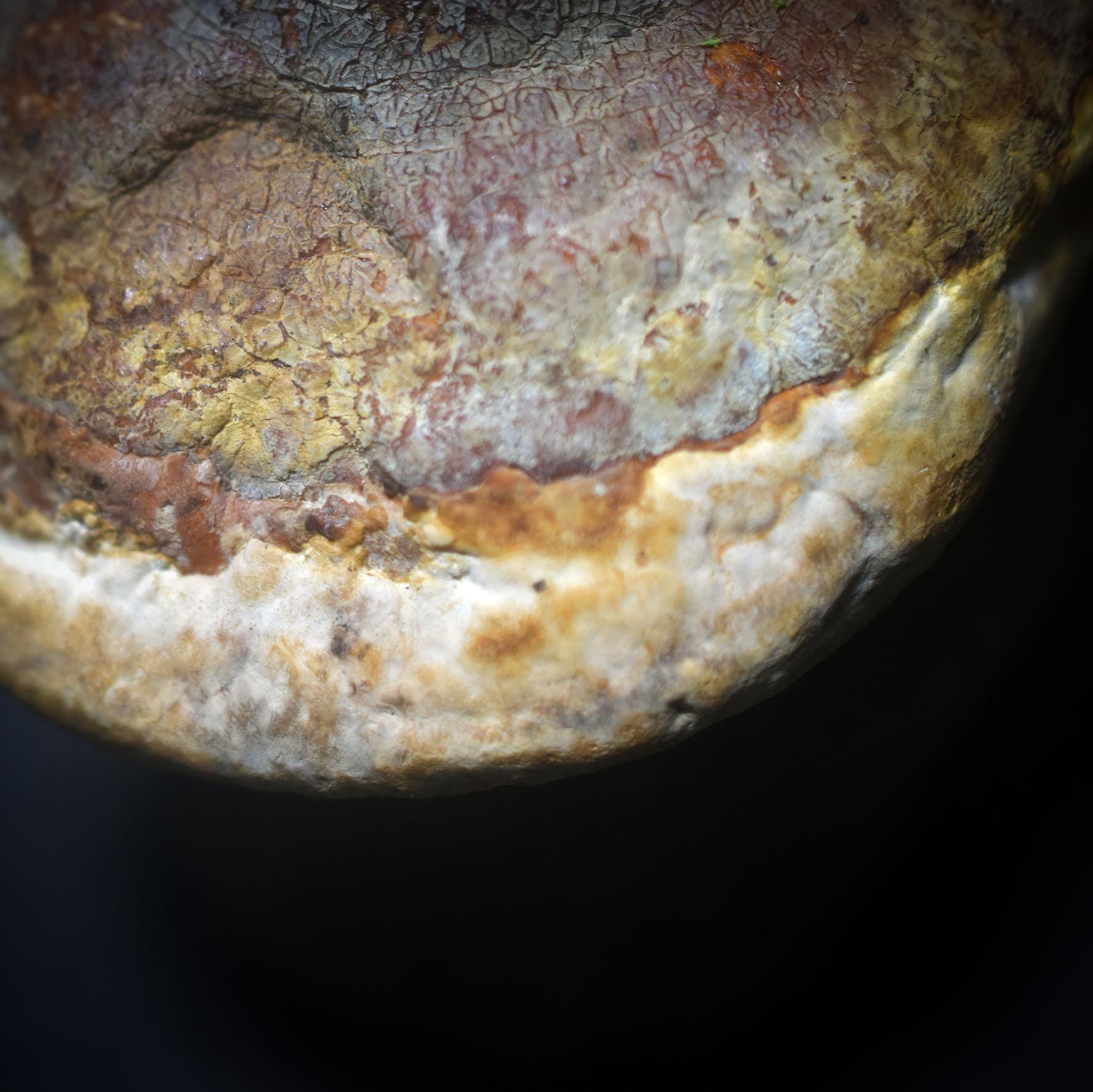 Göttin der Anfänge – Skulptur mit verwachsenem Baumpilz - traditionell gebrannter Ton - spirituelle Skulptur