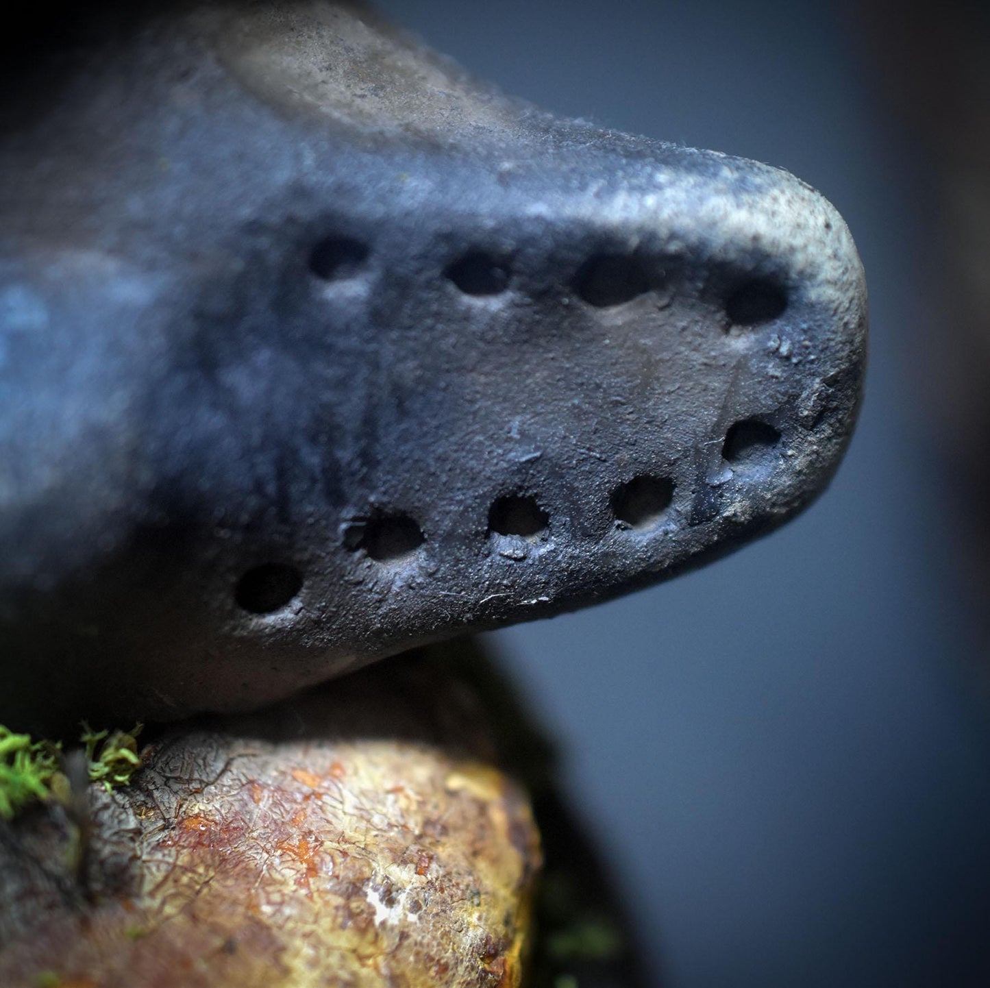 Göttin der Anfänge – Skulptur mit verwachsenem Baumpilz - traditionell gebrannter Ton - spirituelle Skulptur