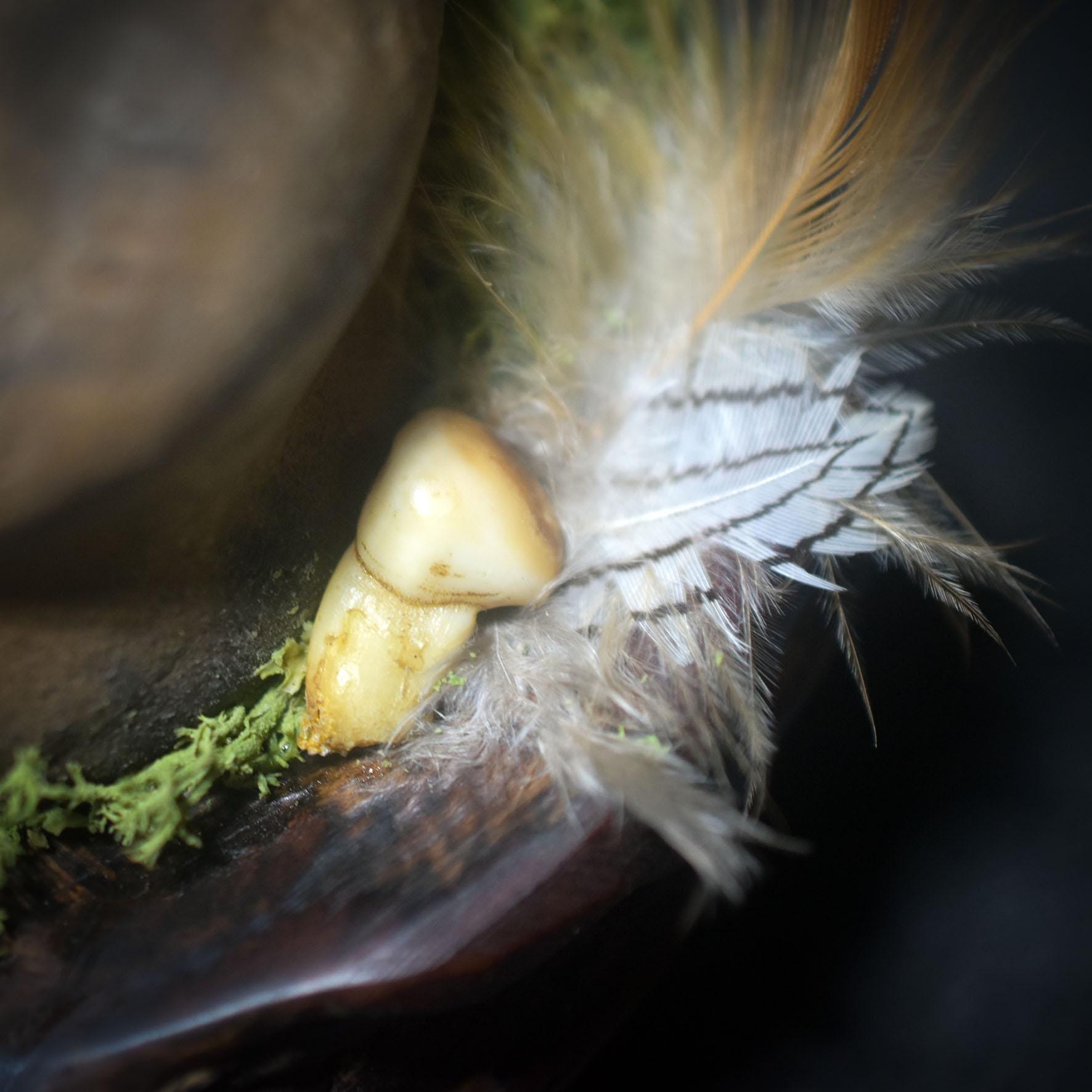 Herz des Waldes – Baumperle mit einem Wesen des Waldes - traditionell gebrannter Ton - Hexenei - spirituelle Altardeko