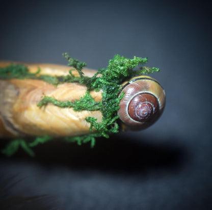 Cernunnos – Wächter des Waldes und der Tiere - spirituelle Dekoration des keltischen Gottes - Altar Dekoration - Art.Nr.: SKU150