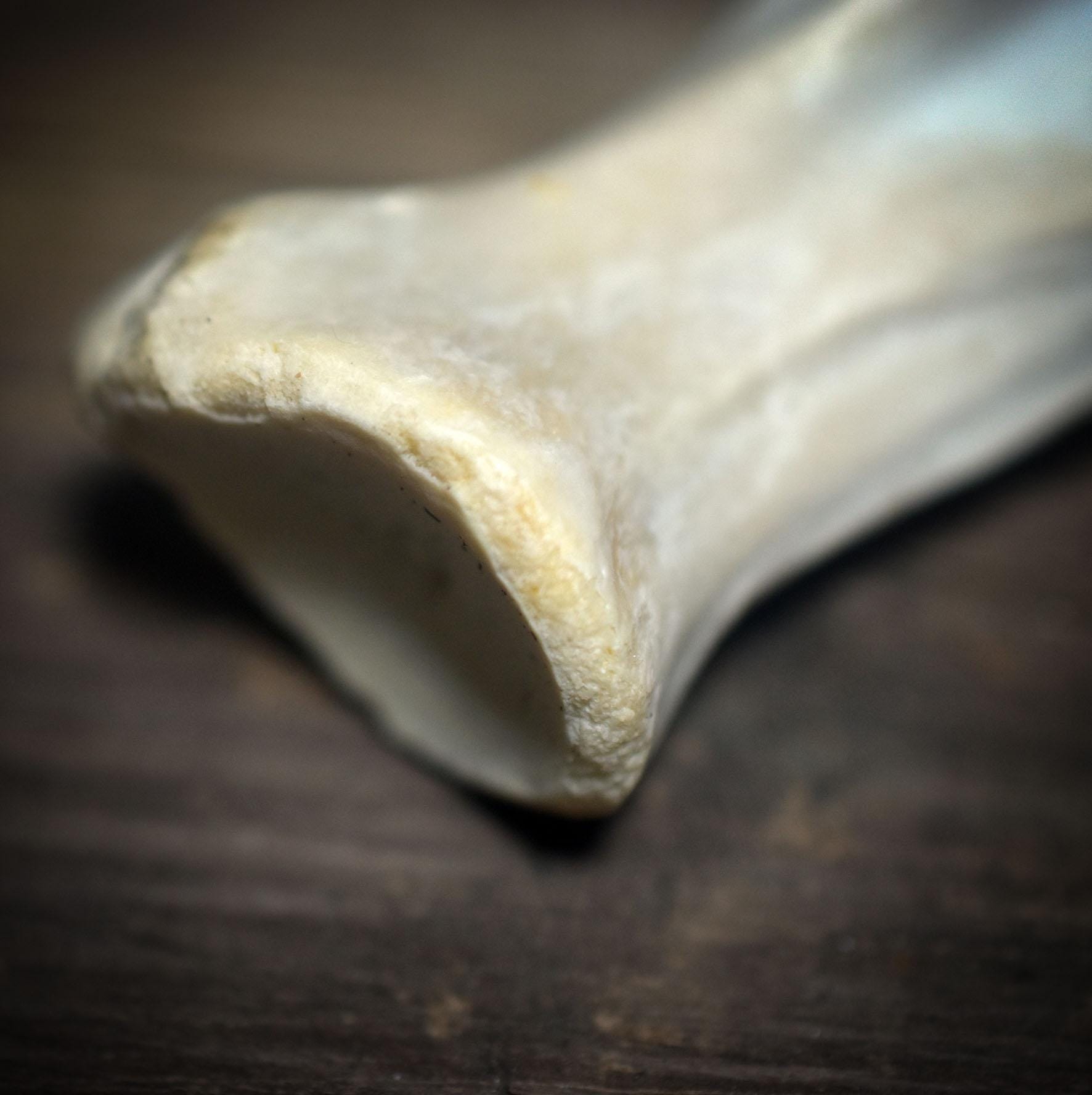 Räucherfächer der Transformation – Kraftvolles Werkzeug für deine Zeremonien - Räucherzeremonie, spirituelles Werkzeug - Art.Nr.: RÄF011