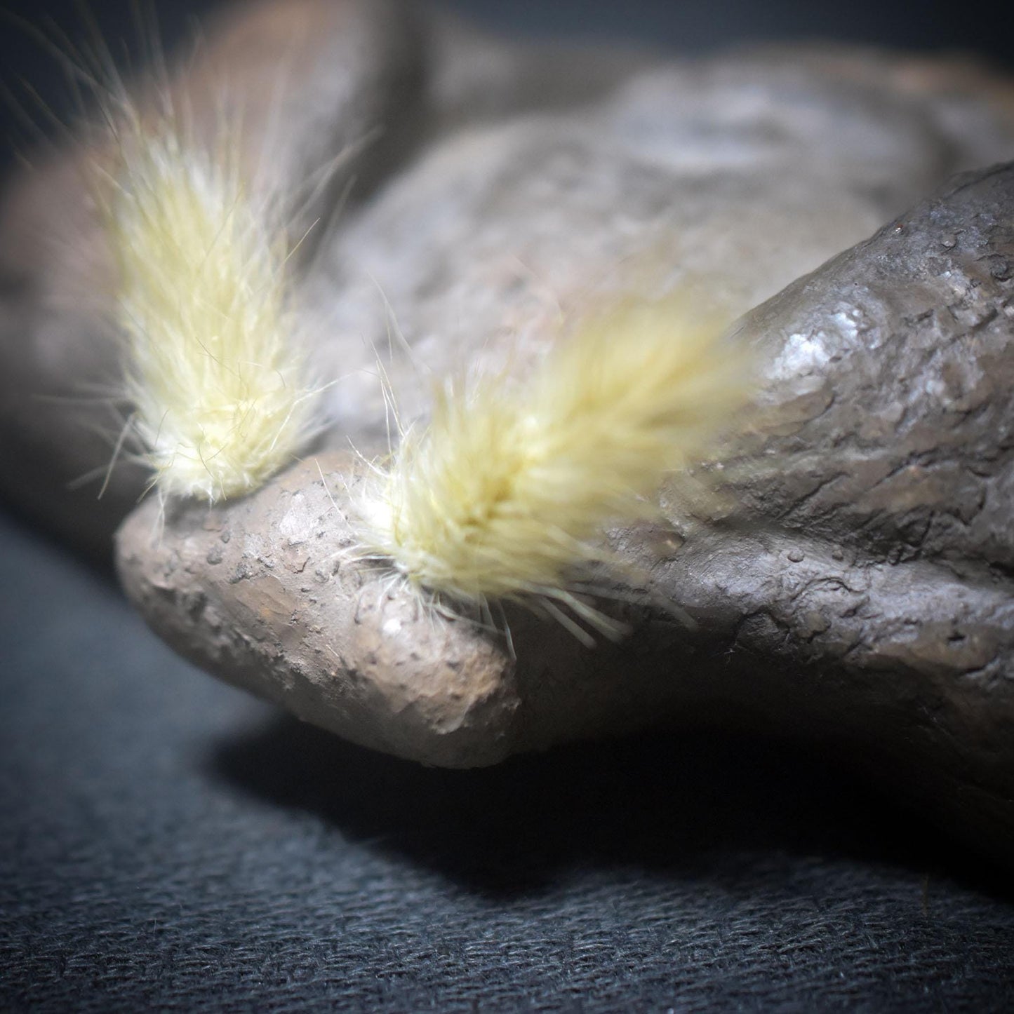 Tonskulptur der Nachtmotte – Hüterin des Mondlichts - Krafttier Motte - spirituelle Dekoration