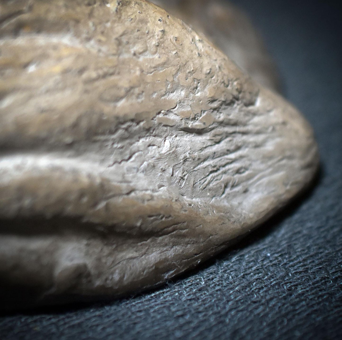 Tonskulptur der Nachtmotte – Hüterin des Mondlichts - Krafttier Motte - spirituelle Dekoration